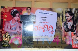 malini and co movie press meet stills 64