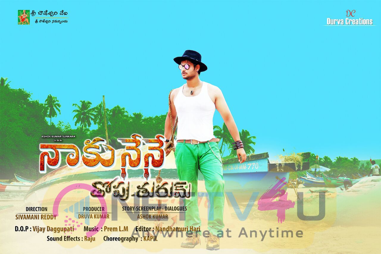 Naku Nene Thopu Turum Movie Posters Telugu Gallery