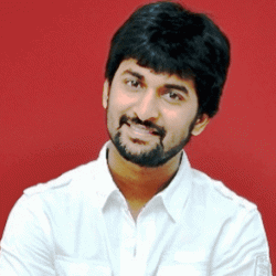 Nani Telugu Movie Actor