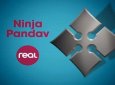 Ninja Pandav