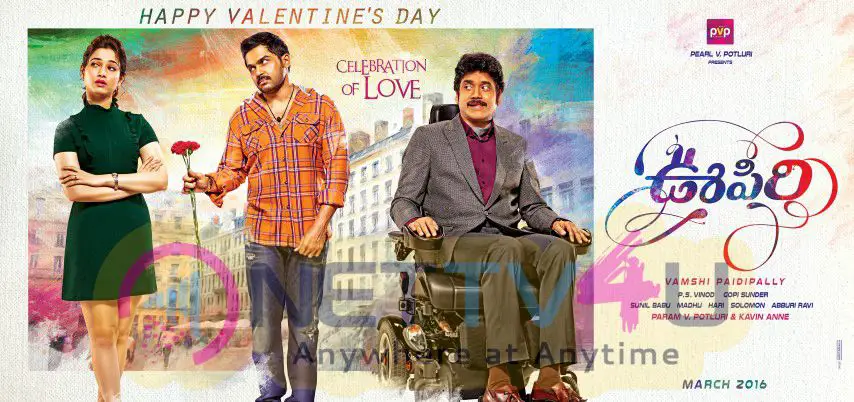 Oopiri Movie Celebration Of Love Valentines Day Poster Telugu Gallery