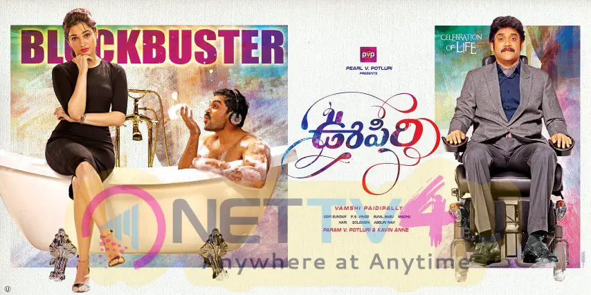 Oopiri Telugu Movie Blockbuster Wallpapers Telugu Gallery