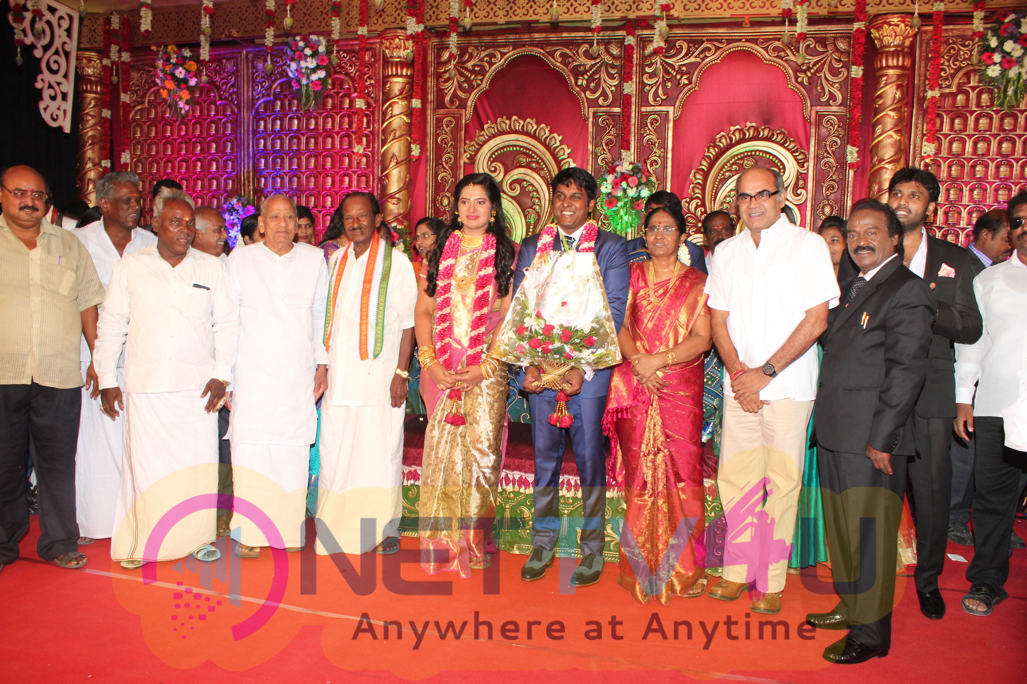 Producer Vinoth Kumar & Sindhu Wedding Reception Photos Tamil Gallery