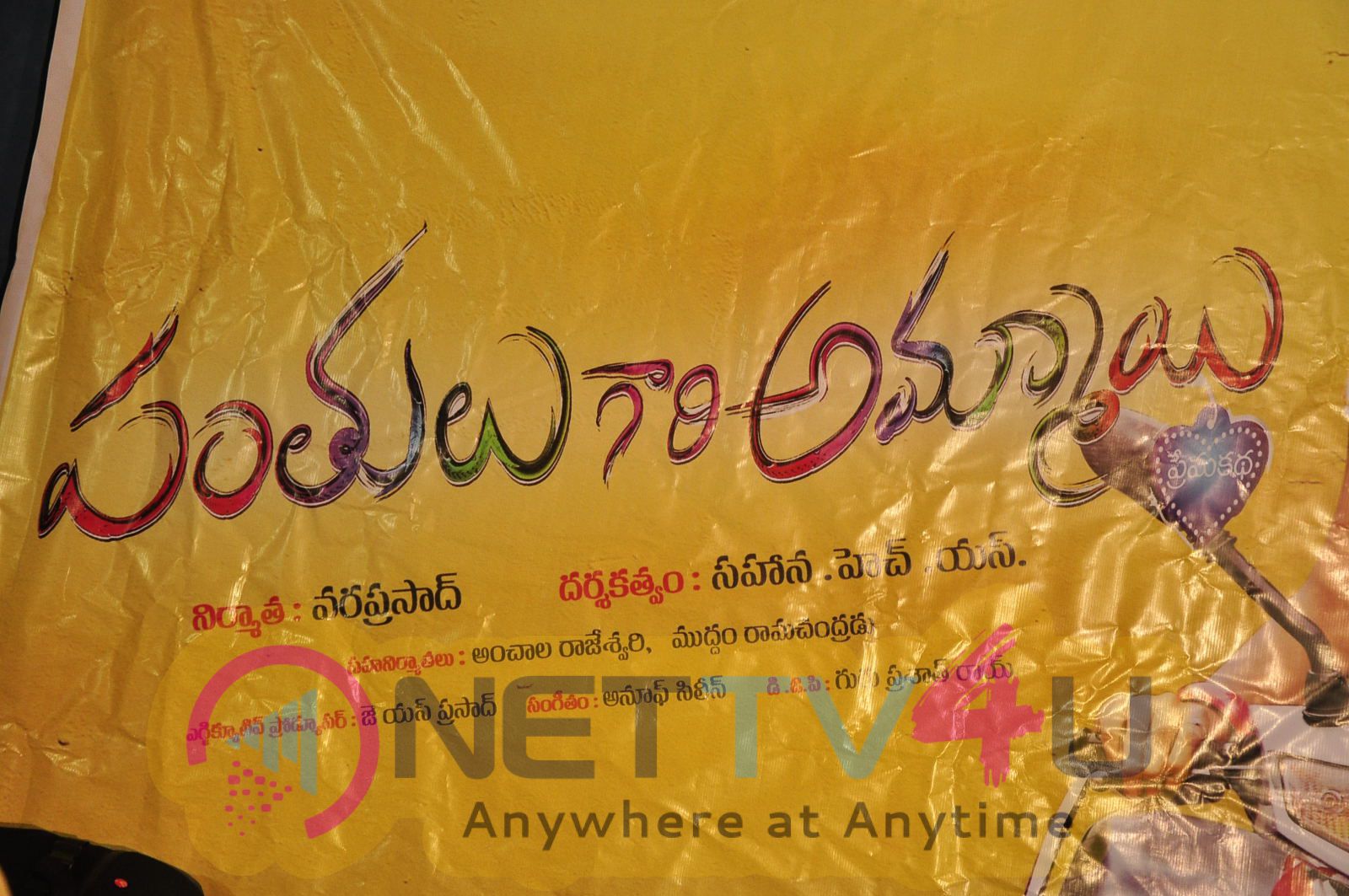 Panthulu Gaari Ammayi Movie Audio Launch Photos Telugu Gallery