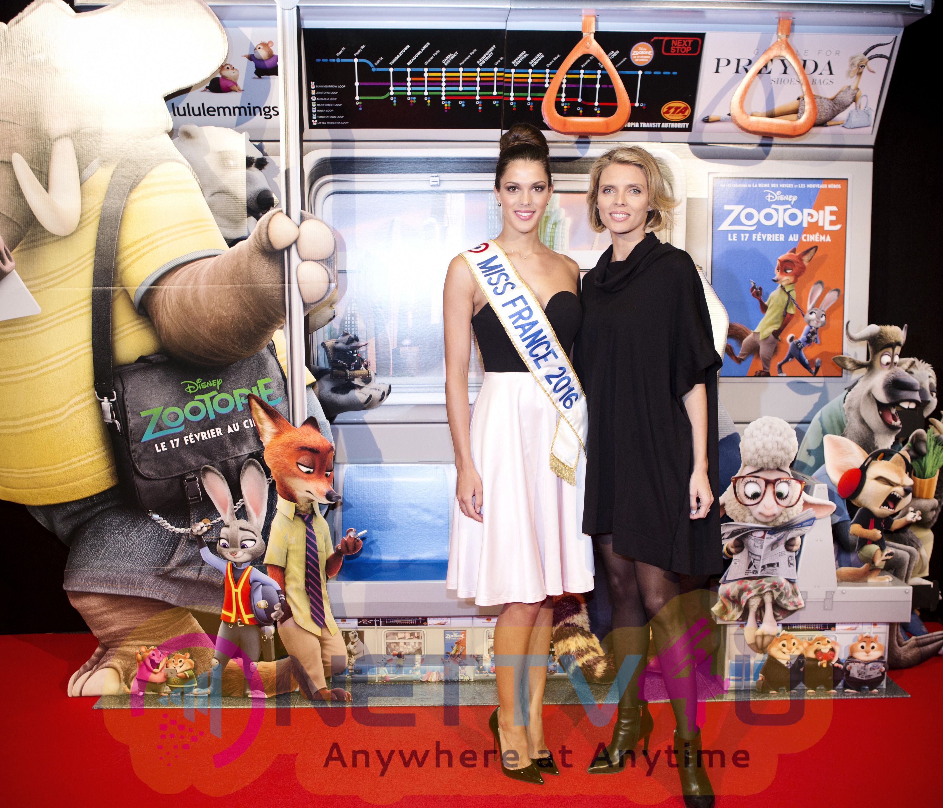 Photos Of Shakira And Zootopia Cast On A Grand Promtional Spree Across Europe English Gallery