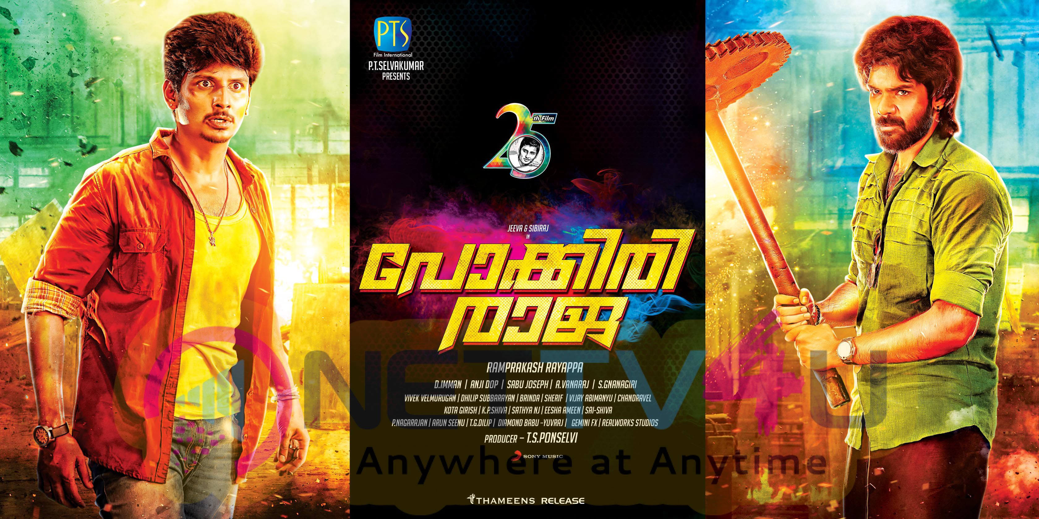Pokkiraja  Malayalam Movie Poster Stills Malayalam Gallery