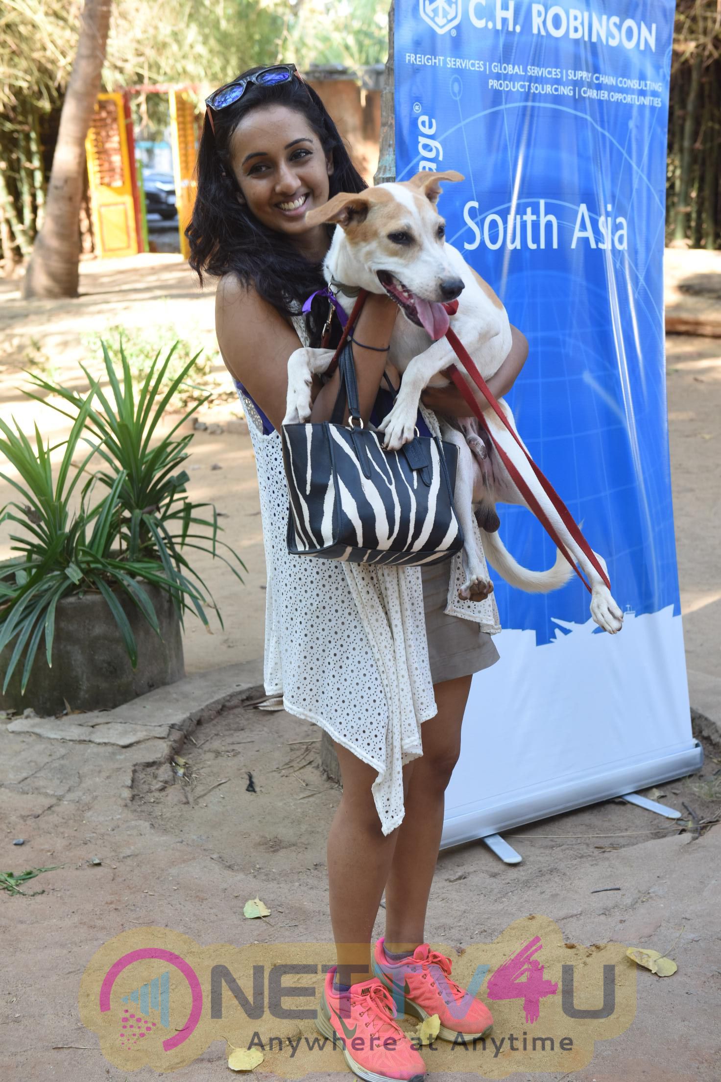 Provoke Pet Party Lovely Photos Tamil Gallery