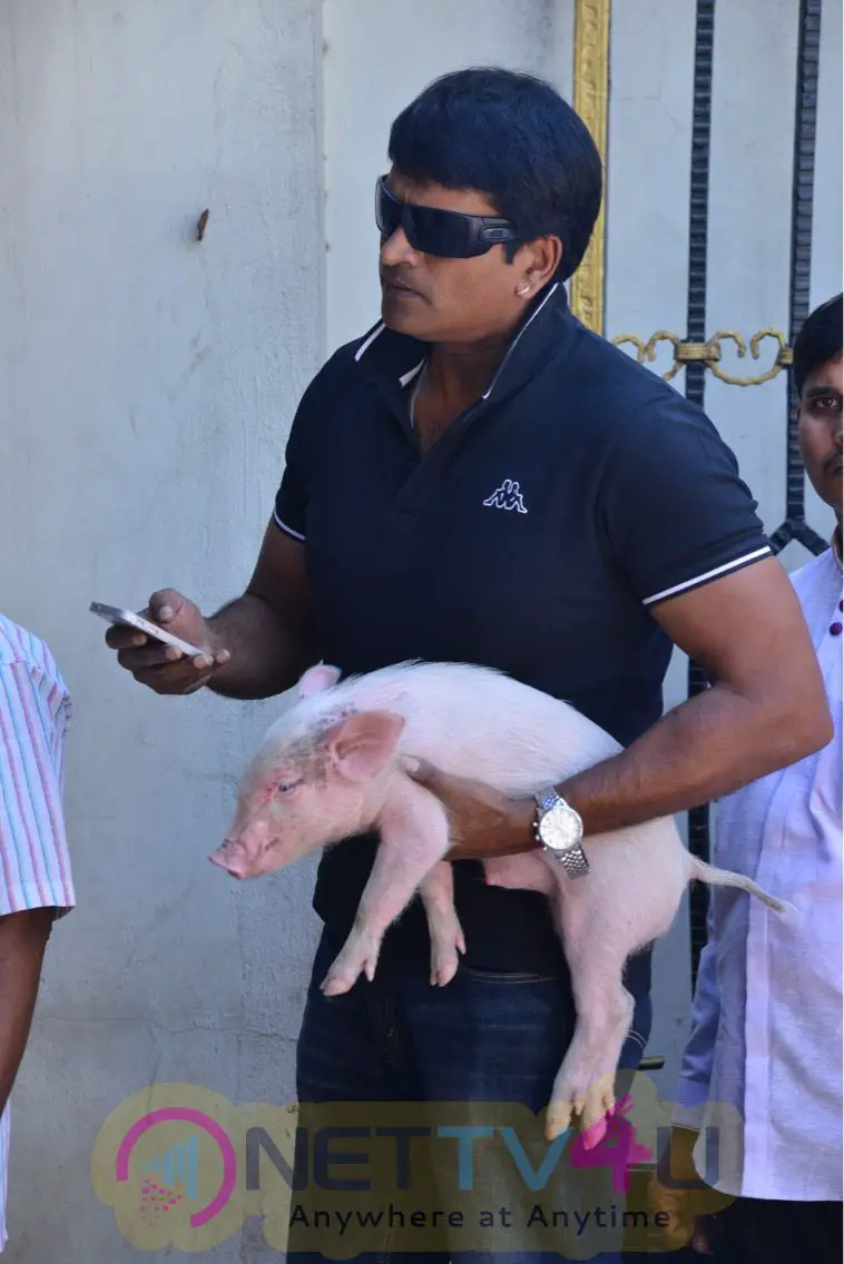 Ravibabu In ATM Queue With Piglet Photos Telugu Gallery