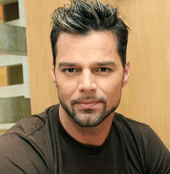 Ricky Martin English Singer