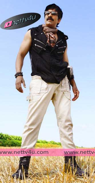 raviteja stills 05