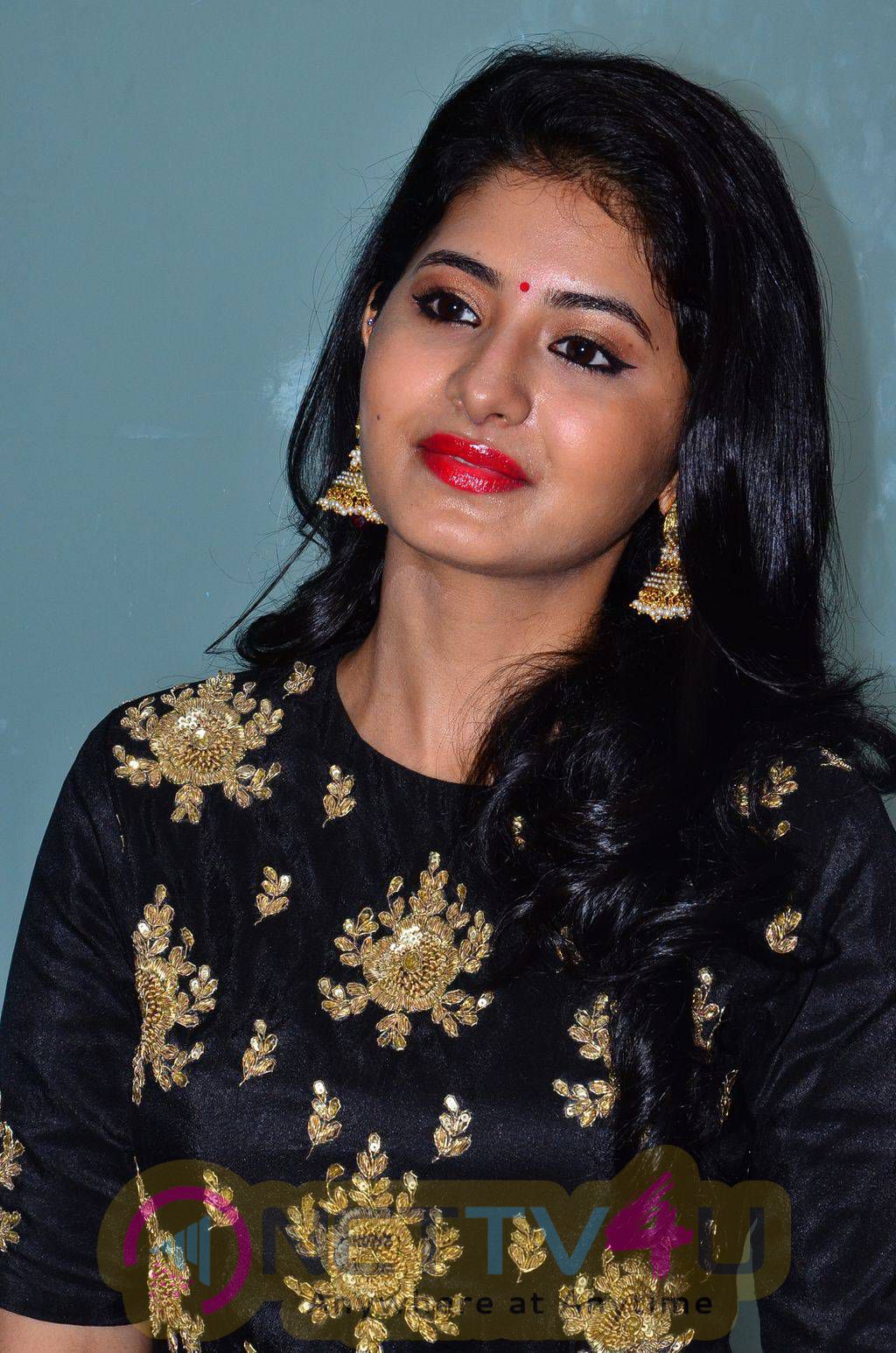 recent photos of actress reshmi menon at urumeen movie audio launch 10