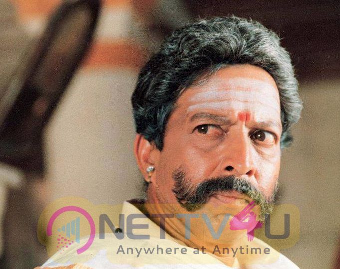 Sandlewood Celebrity Vishnuvardhan Complete Gallery Kannada Gallery