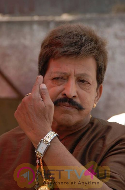 Sandlewood Celebrity Vishnuvardhan Complete Gallery | 298398 ...