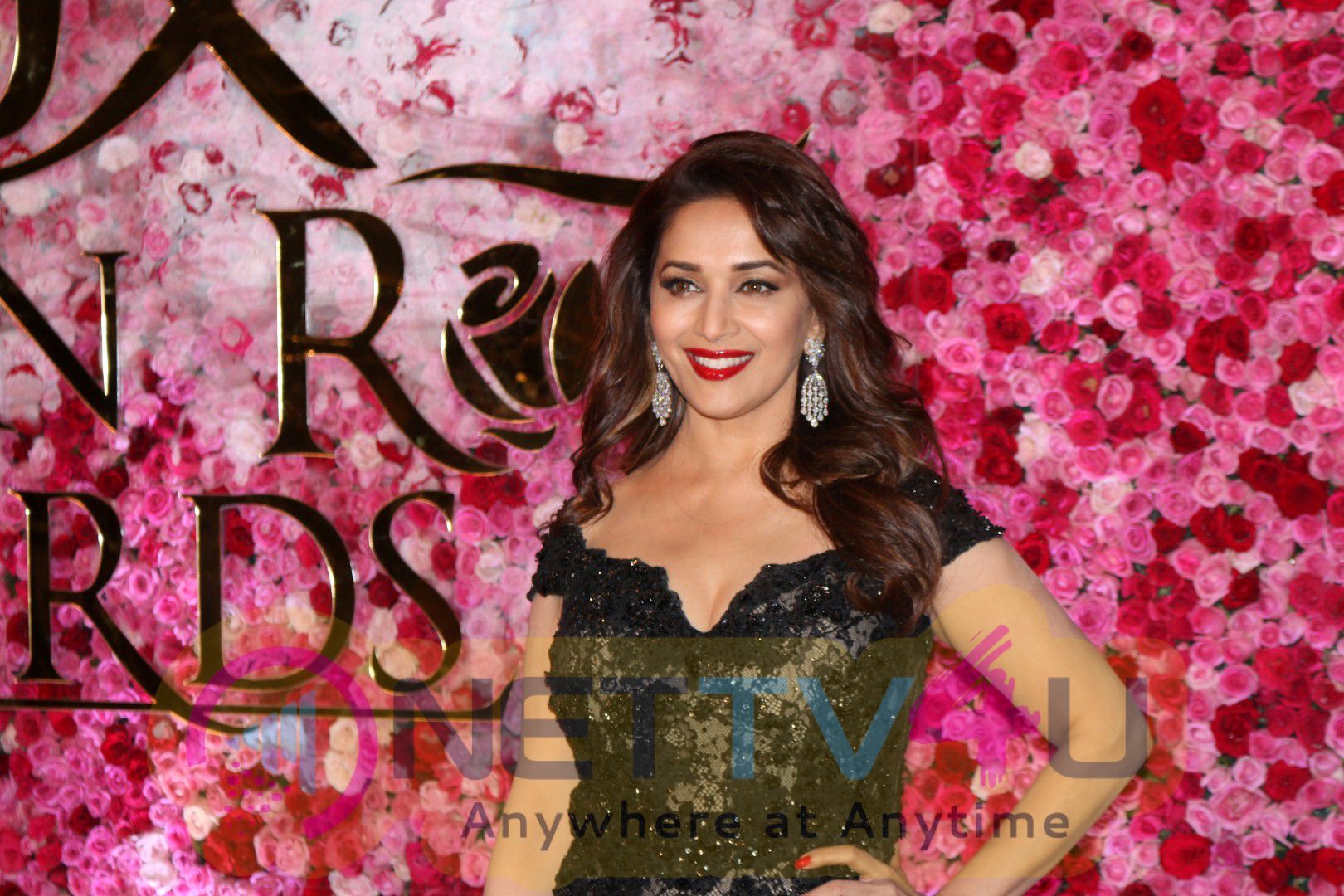 Star Studded Red Carpet Of Lux Golden Rose Awards 2016 Photos Hindi Gallery