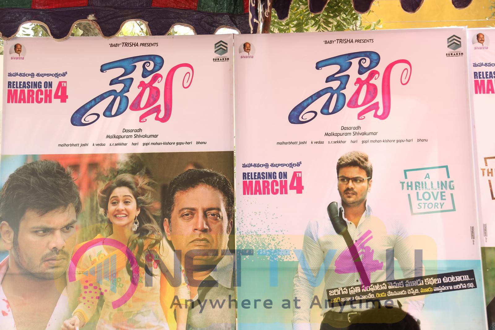 Shourya Telugu Movie Press Latest Skill Telugu Gallery