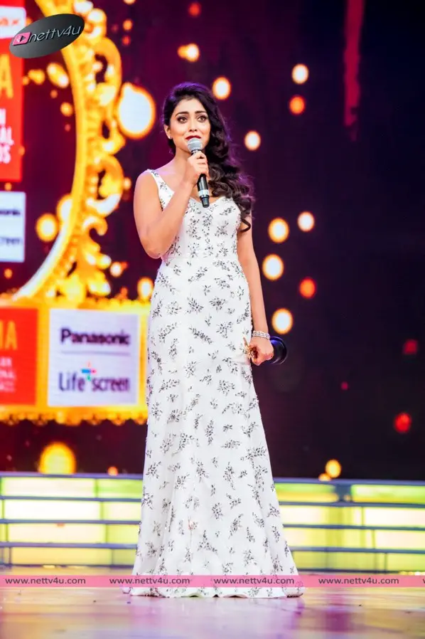 siima awards day 50