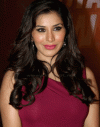 Sophie Choudry Hindi Actress