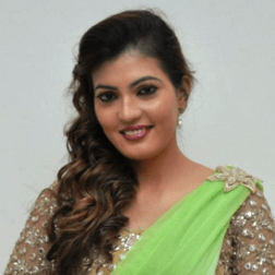 Sufi Sayyad Hindi Movie Actress