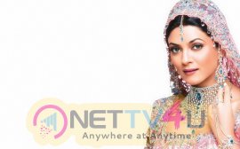 Sushmita Sen Hot Hd Images Hindi Gallery