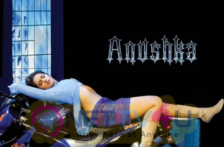 Tamil Actress Anushka Shetty Latest Hot Photos Tamil Gallery