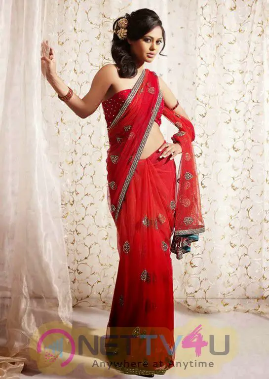 Tamil Actress Bindu Madhavi Latest Attractive Photos Tamil Gallery