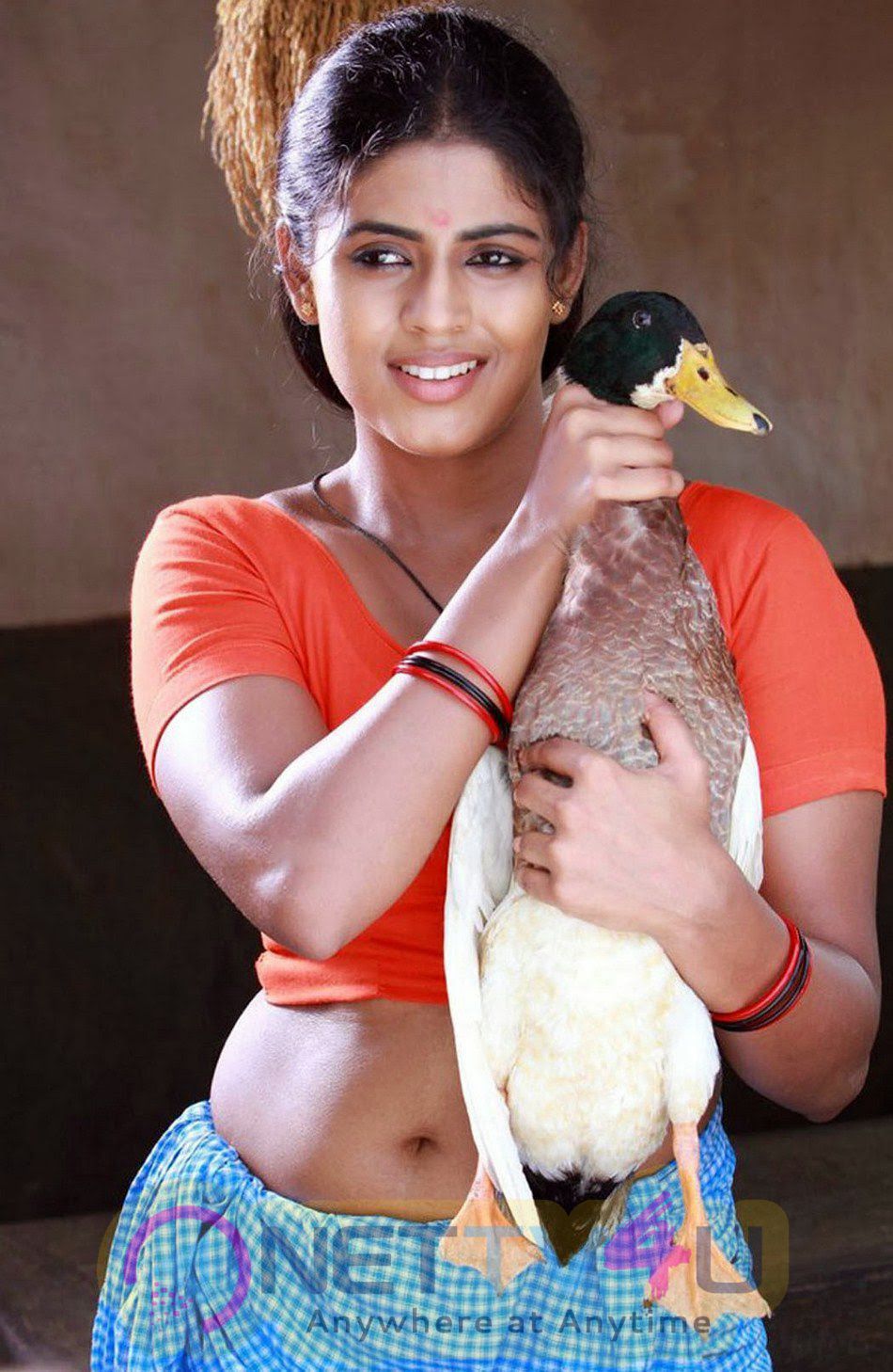 Tamil Actress Iniya New Exclusive Stills Tamil Gallery