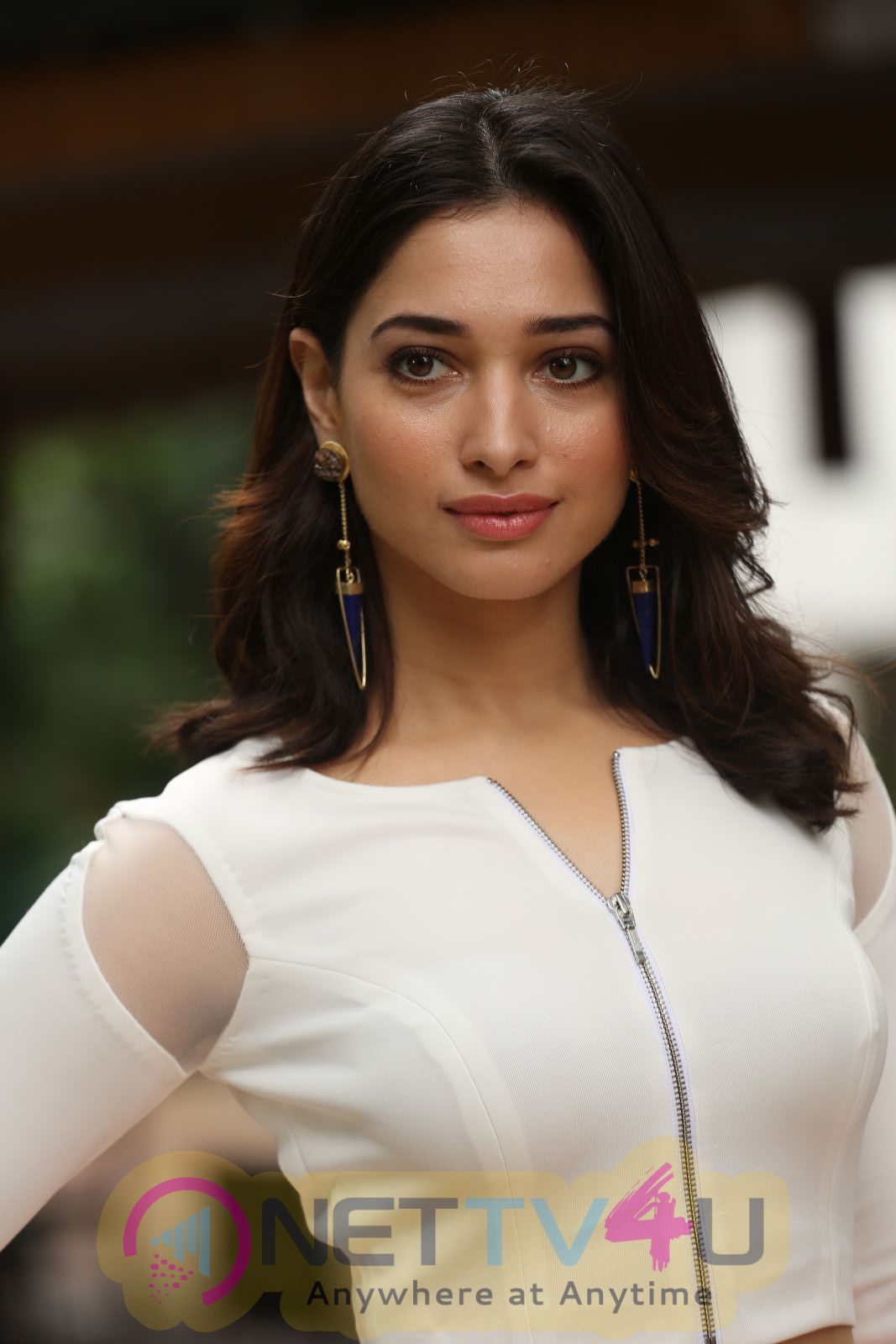 Tamil Actress Tamannaah Hot Images | 364128 | Galleries & HD Images