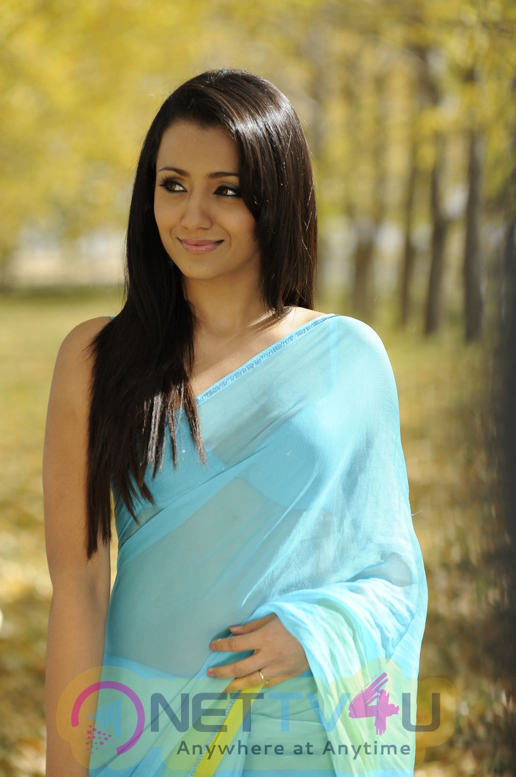 Tamil Actress Trisha Krishnan Hot Exclusive Photos 349140 Galleries And Hd Images 