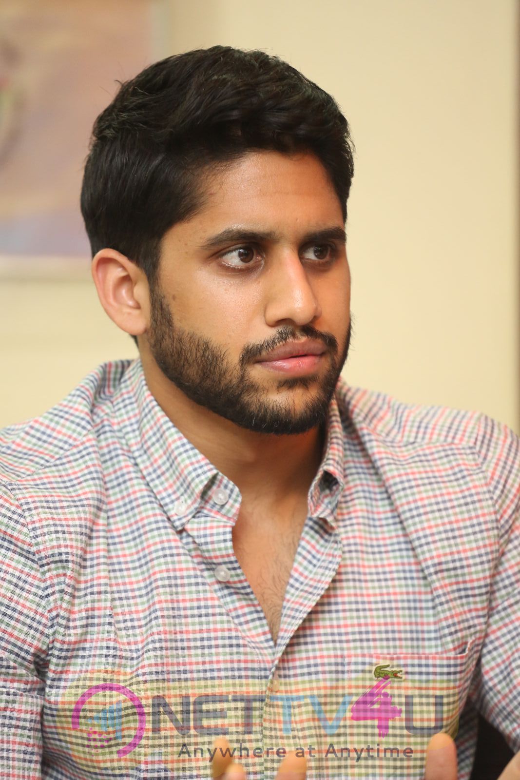 Telugu Actor Naga Chaitanya Interview Good Looking Stills Telugu Gallery