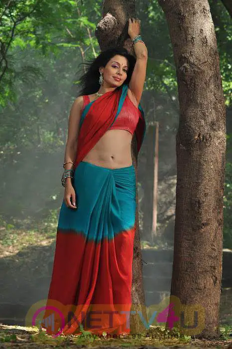 Telugu Actress Asha Saini Latest Hot Photoshoot Stills Telugu Gallery
