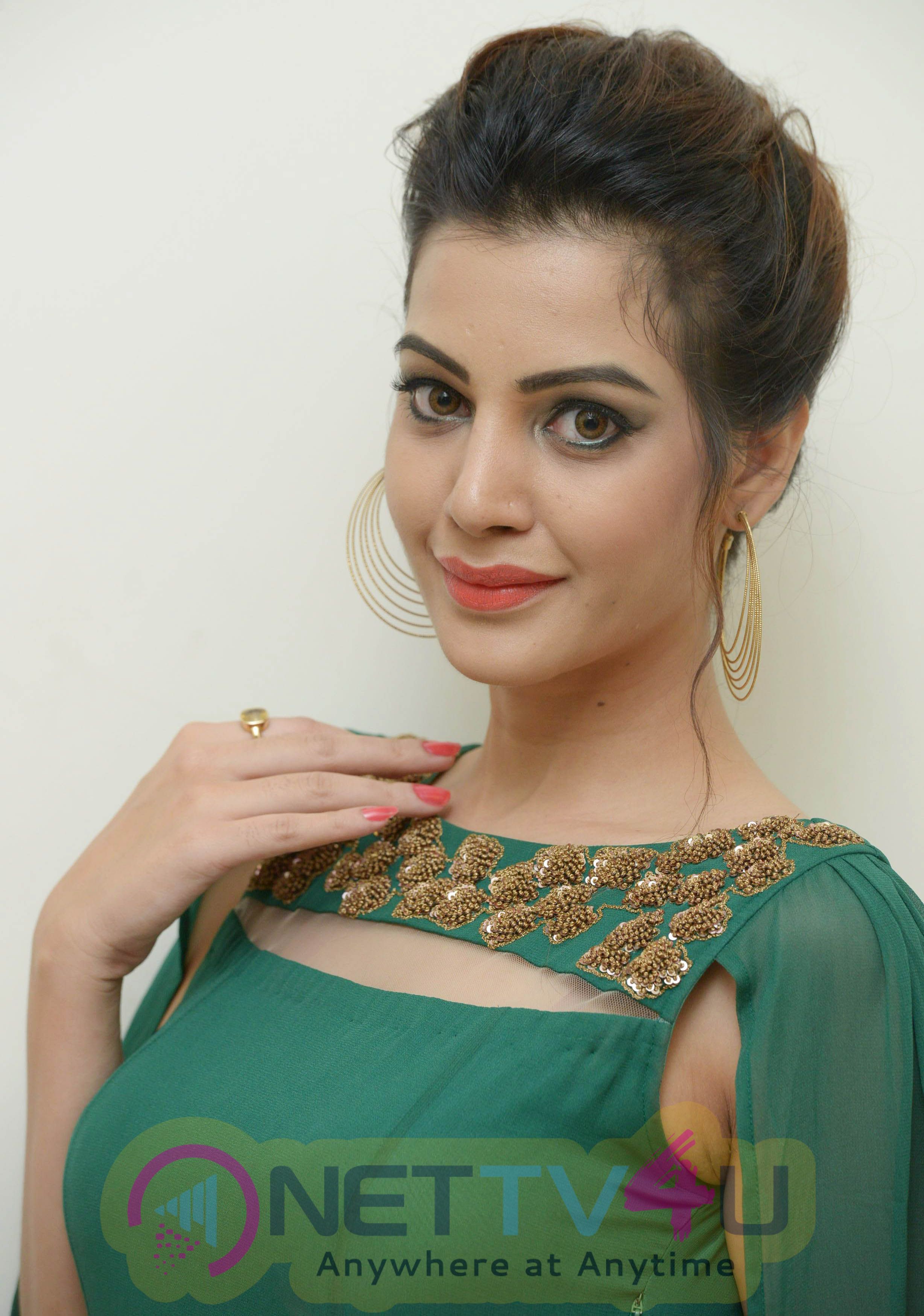 Telugu Actress Diksha Panth Photos Telugu Gallery