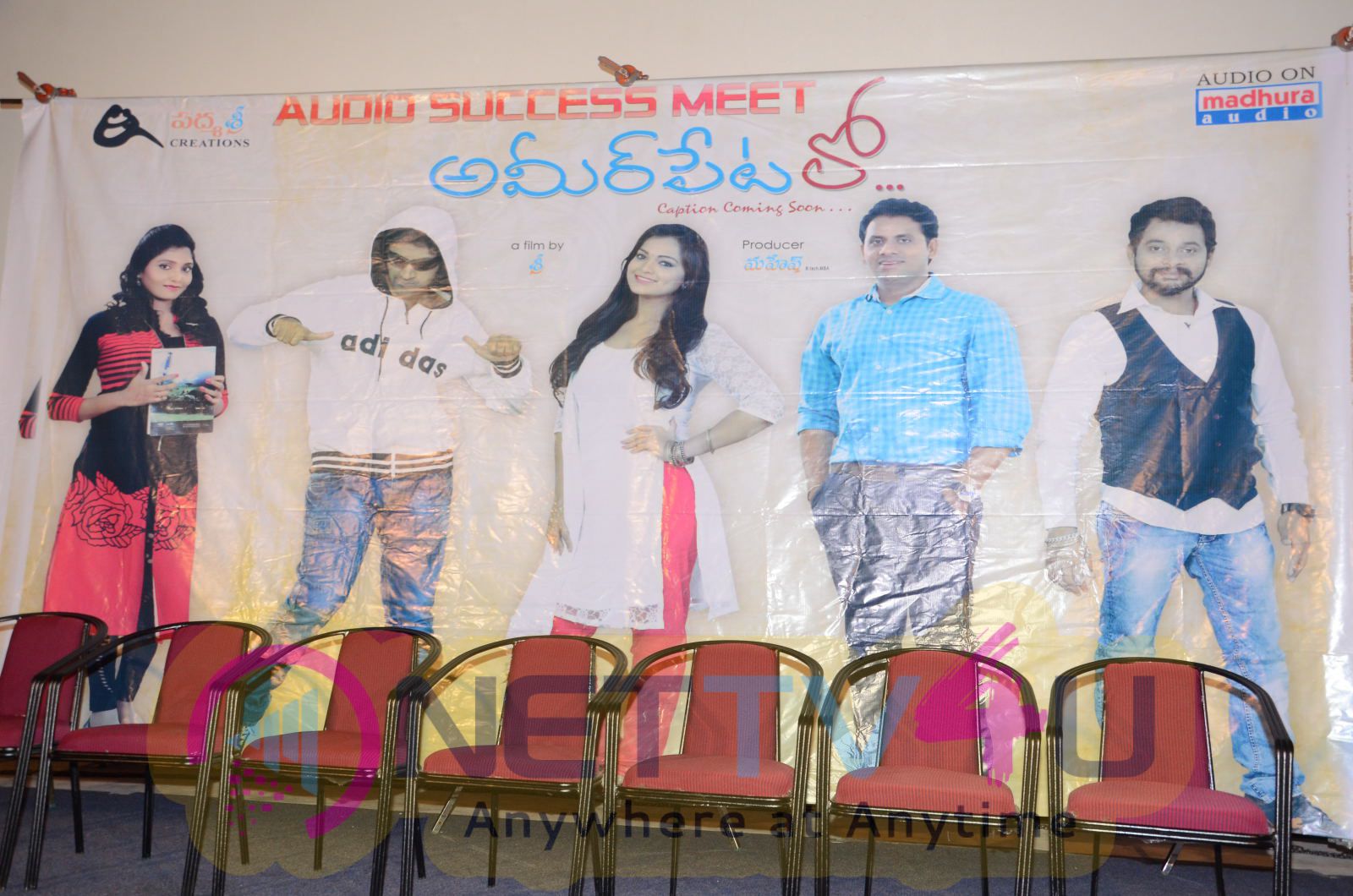 Telugu Movie Ameerpet Lo Audio Success Meet Latest Stills Telugu Gallery