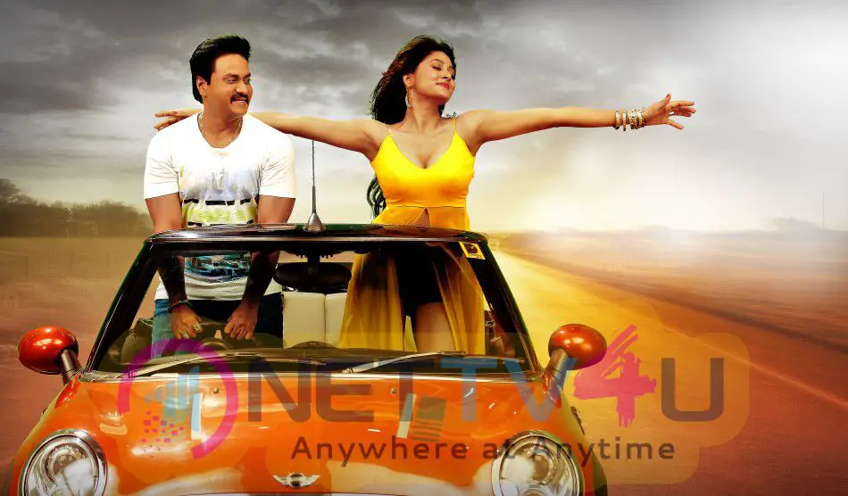 Telugu Movie Eedu Gold Ehe Stunning Stills Telugu Gallery