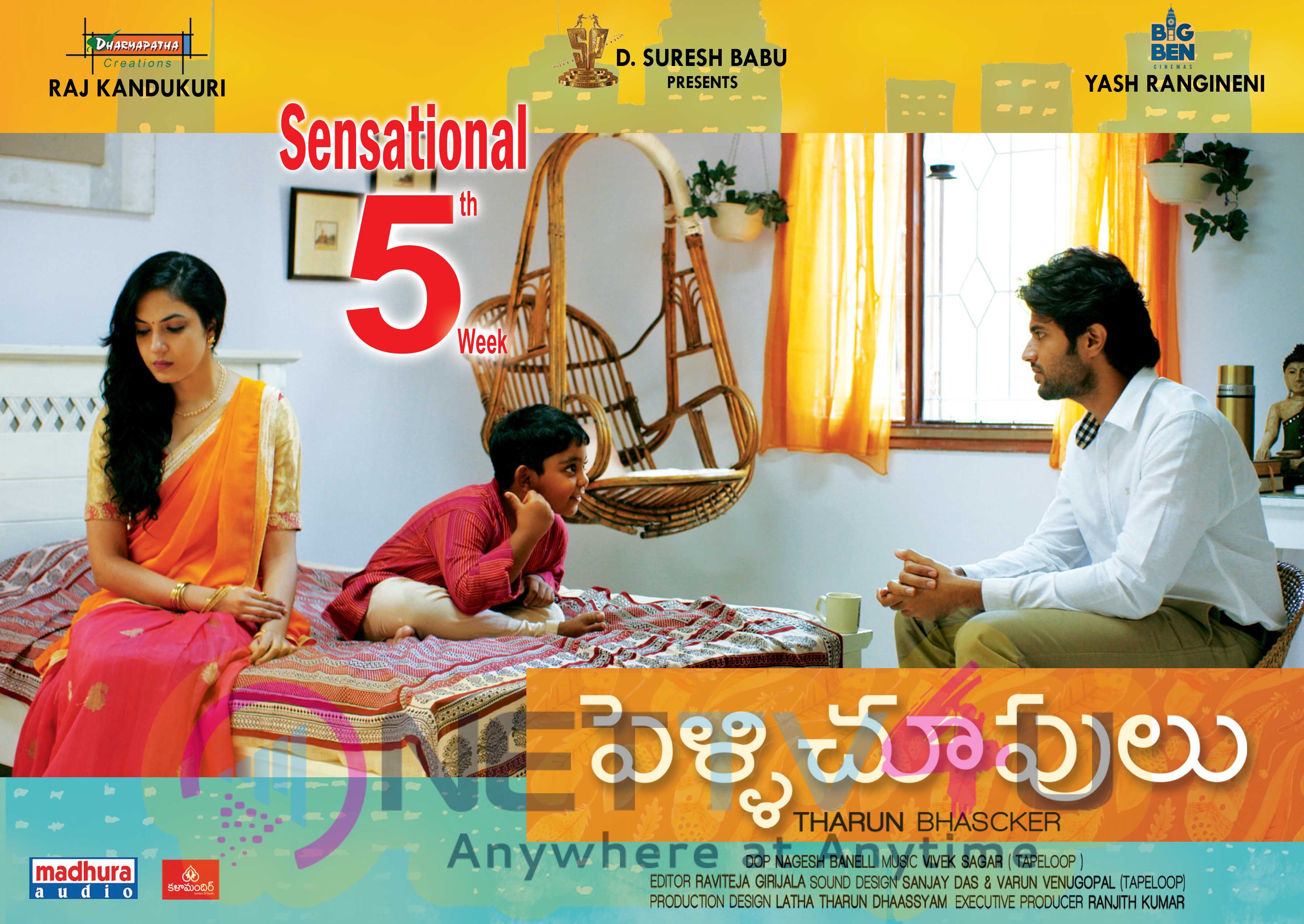 Telugu Movie Pelli Choopulu 5th Week Attractive Posters Telugu Gallery