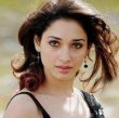 Tamannaah’s Marriage Plans! Tamil News