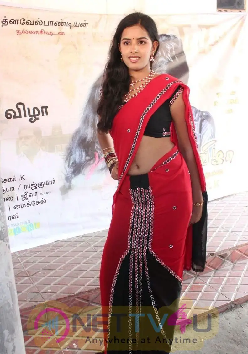 Tamil Actress Bhanusri Show In Saree Exclusive Stills Tamil Gallery