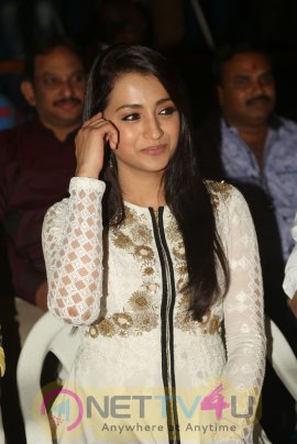 Tamil Actress  Trisha High Quality Photos Stills Tamil Gallery