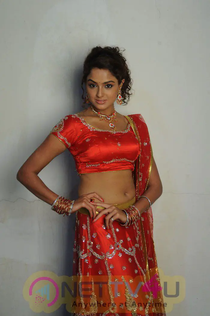 Telugu Actress Asmita Sood Latest Photo Shoot Stills Telugu Gallery