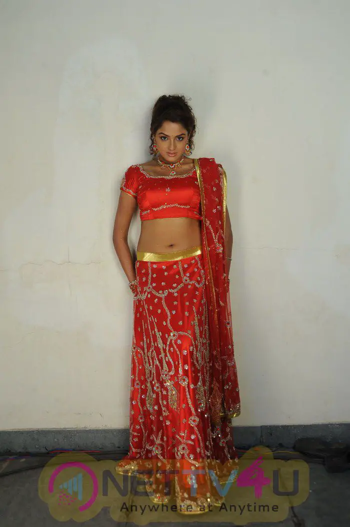 Telugu Actress Asmita Sood Latest Photo Shoot Stills Telugu Gallery