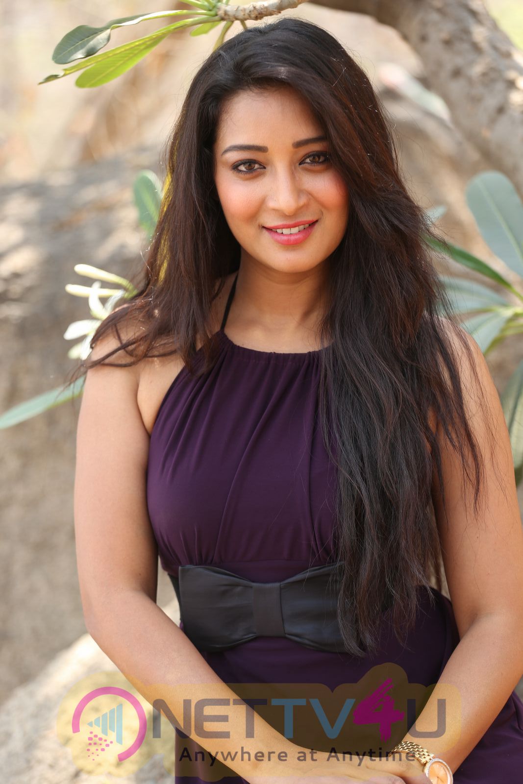 Telugu Actress Bhanu Sri Latest Photoshoot Stills 185320 Galleries And Hd Images