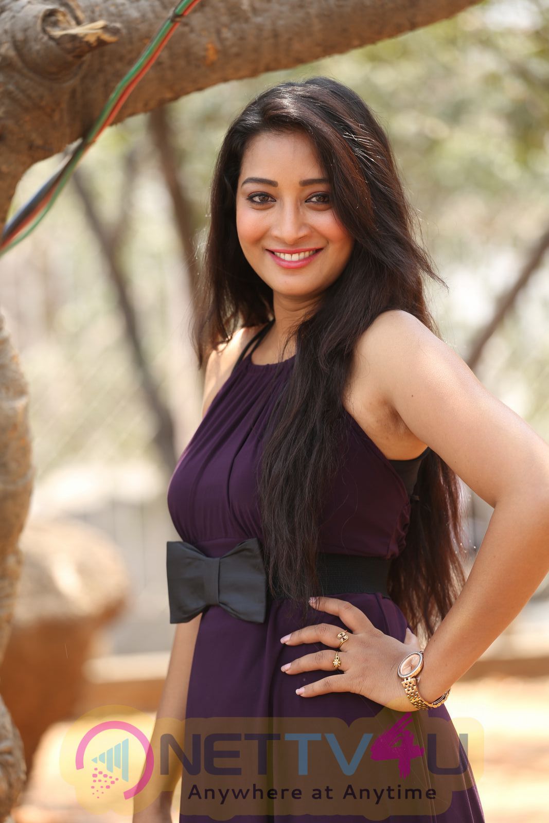 Telugu Actress Bhanu Sri Latest Photoshoot Stills 185287 Galleries And Hd Images