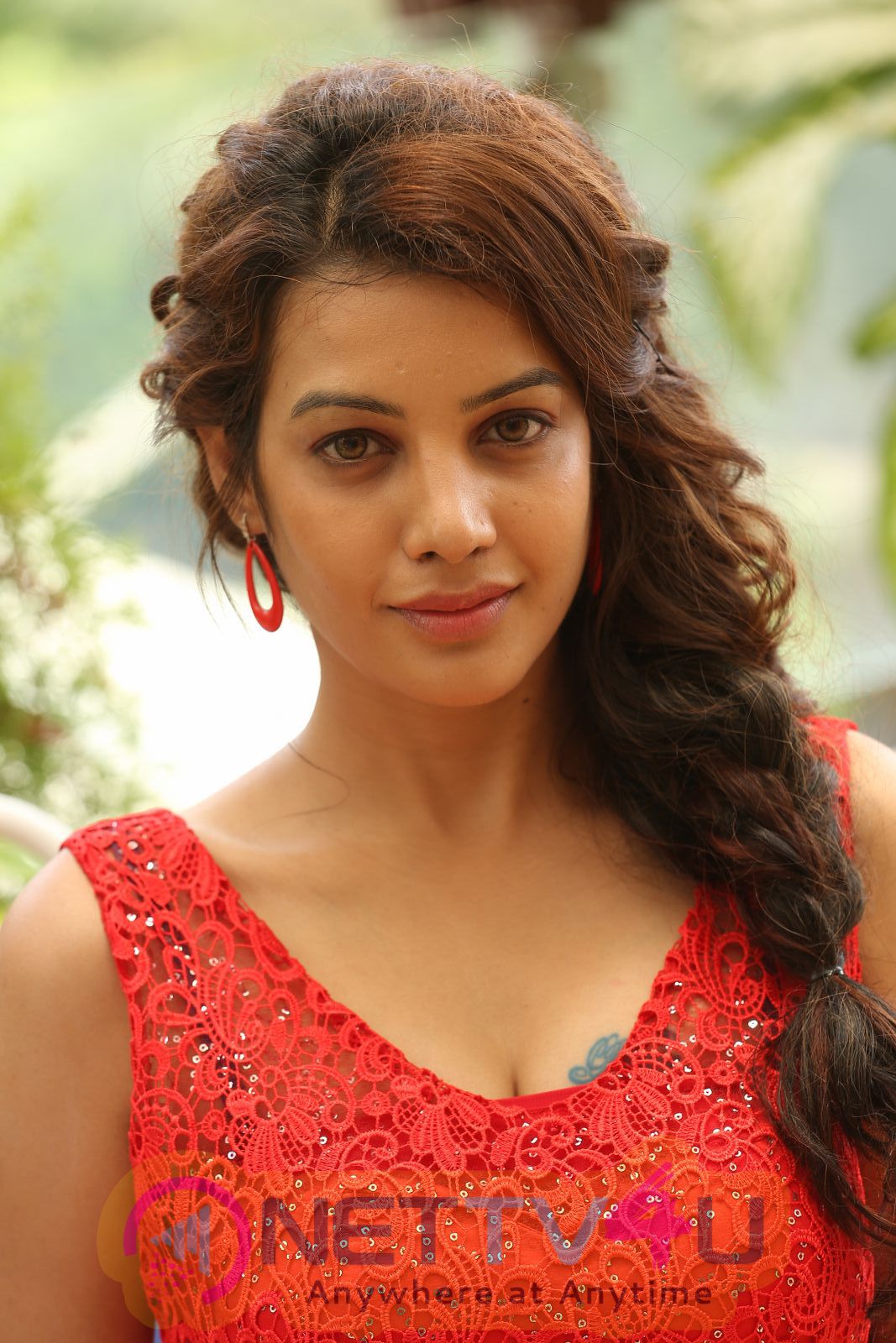 Telugu Actress Diksha Panth Photos Telugu Gallery