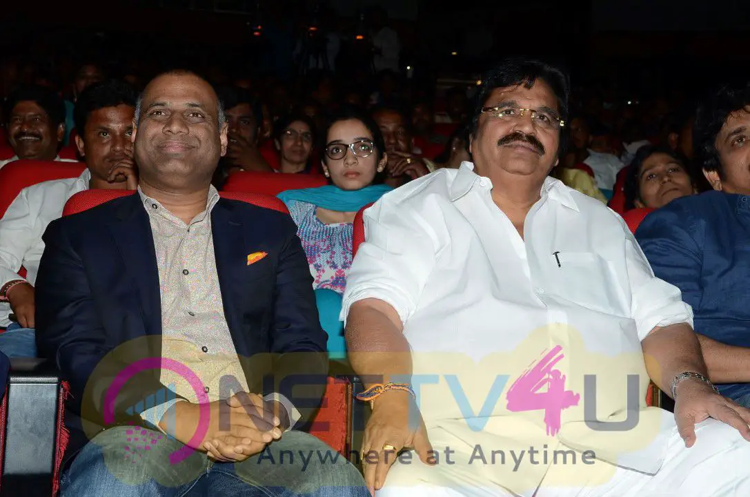 Telugu Cinema Oopiri Thanks Meet Latest Stills Telugu Gallery
