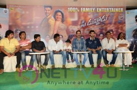 telugu cinema speedunnodu platinum disc function images 350