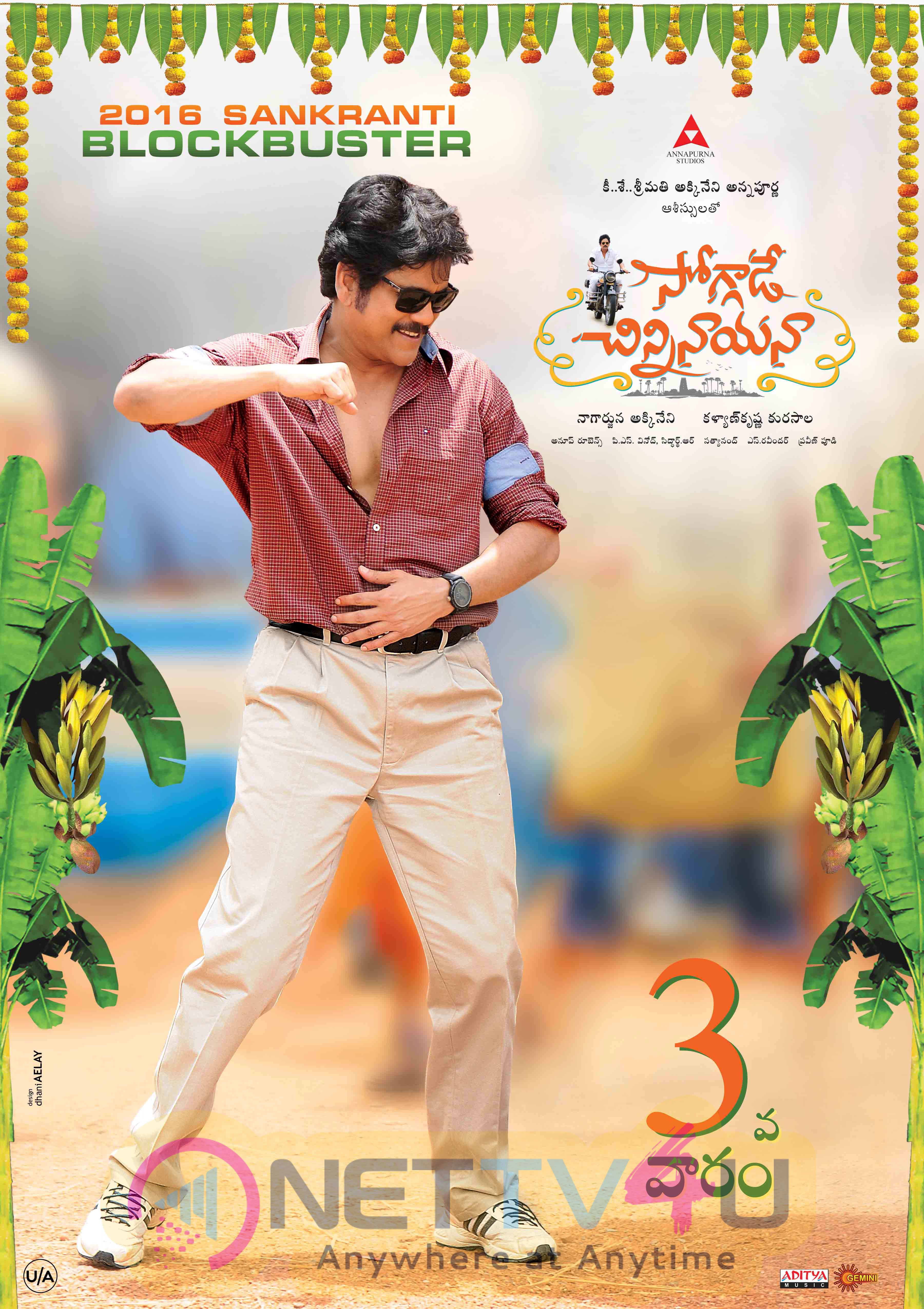 telugu movie soggade chinni nayana posters 10