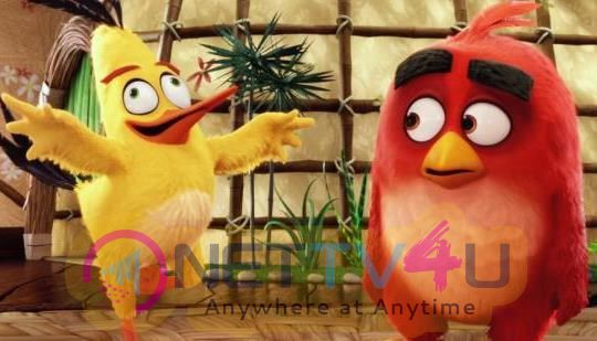The Angry Birds Movie Exclusive Stills English Gallery