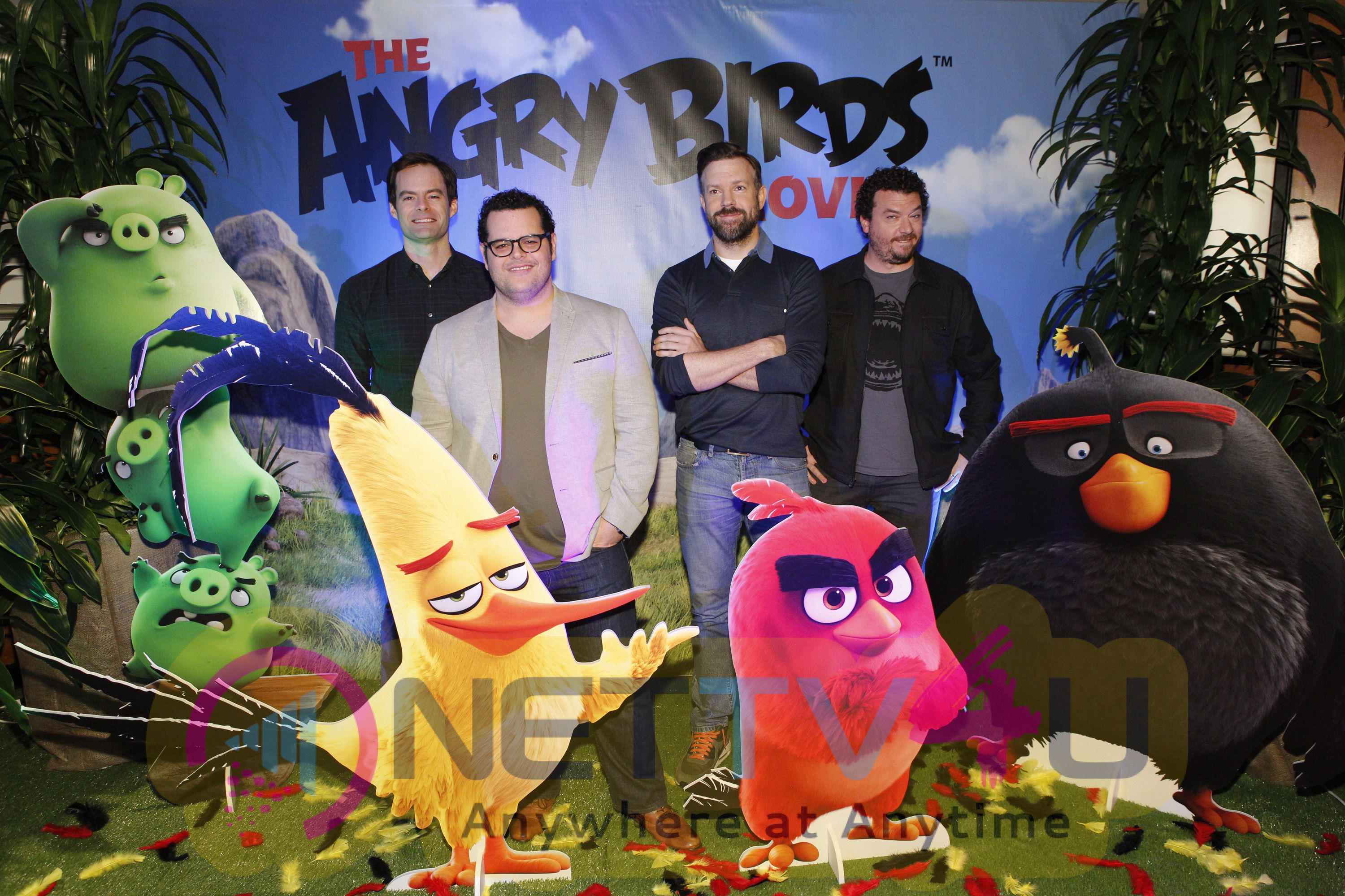 The Angry Birds Movie Exclusive Stills English Gallery