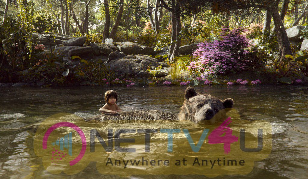 The Jungle Book Hollywood Movie Stills English Gallery