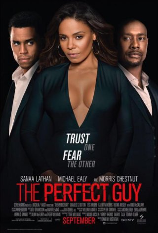 The Perfect Guy Movie Review English