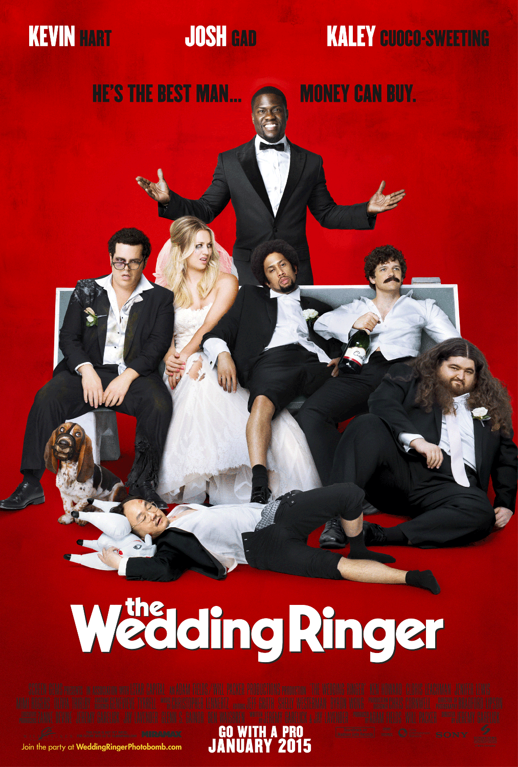 The Wedding Ringer Movie Review